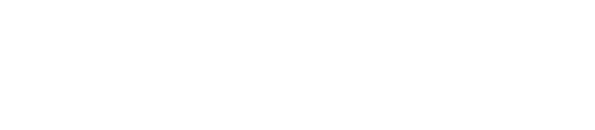 Holoubek GmbH
